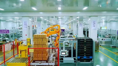 福建泉州洛江區 聚力三爭抓工業，擔當作為促發展